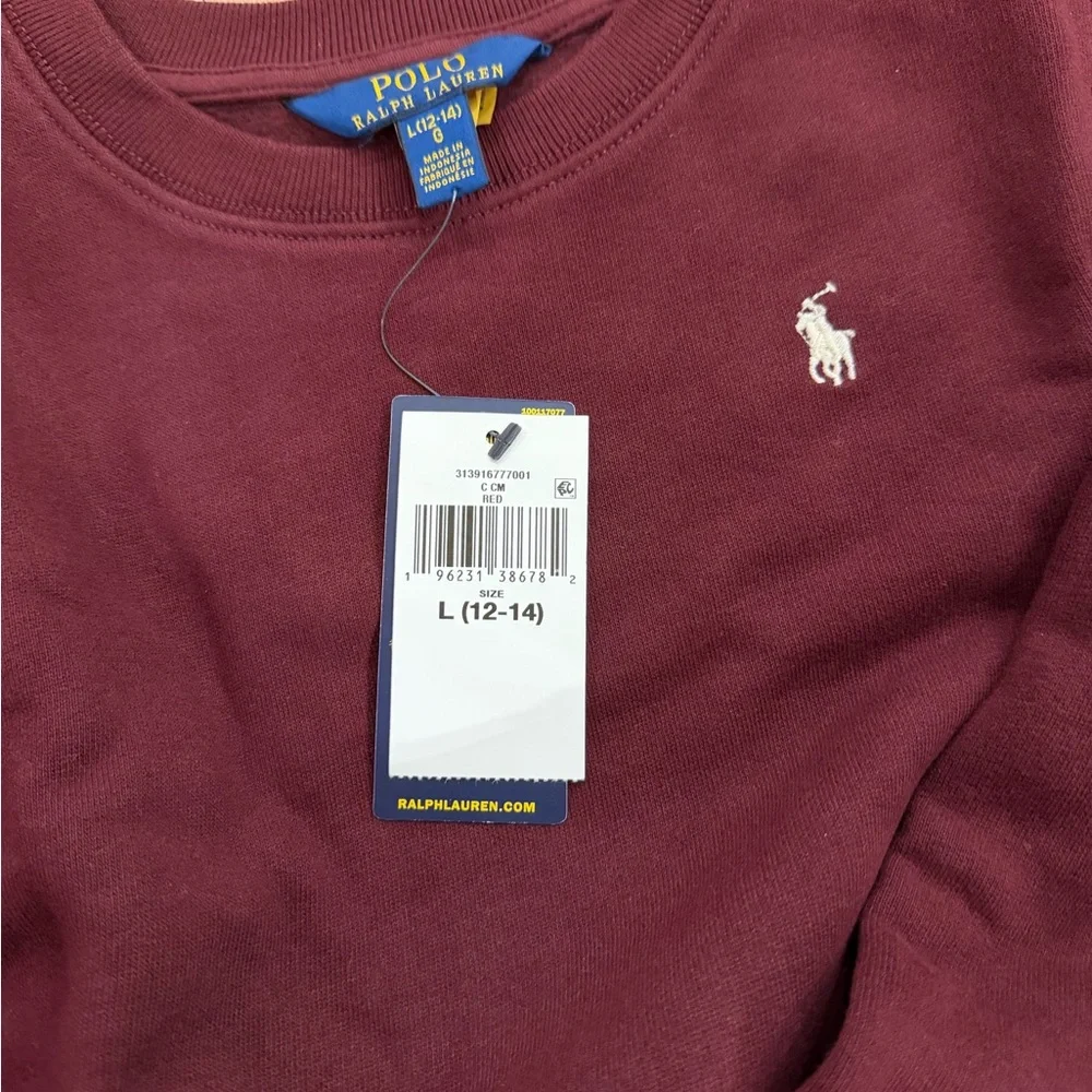 Ralph Lauren Girl’s Burgundy Sweatshirt Dress with Floral Skirt